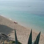 Lipa Dora